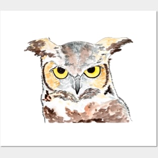 Owl - night owls with sharp eyes and ears Posters and Art